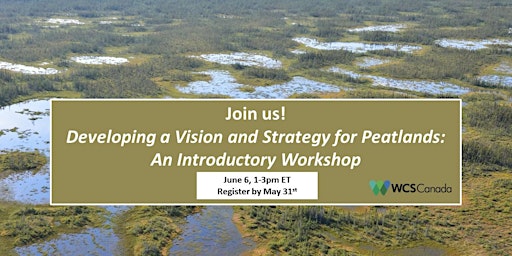 Developing a Vision and Strategy for Peatlands: An Introductory Workshop primary image