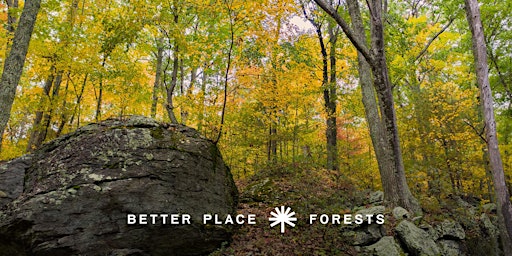 Immagine principale di Better Place Forests Litchfield Hills Memorial Forest Open House 