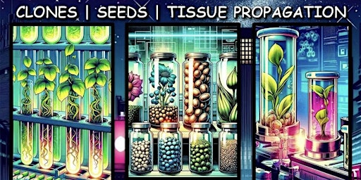 Imagem principal de Clone, Seed and Tissue Culture Class - Clone and Seed Drop