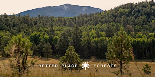 Better Place Forests Flagstaff Memorial Forest Open House primary image