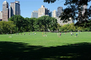 Hauptbild für Cal Alumni Club of NY (CACNY) - Summer Welcome Party @ Central Park