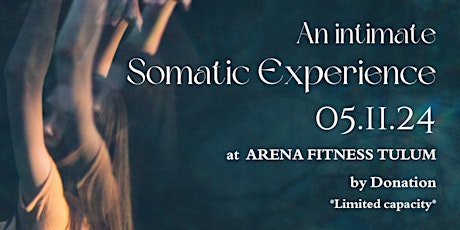 Somatic Experience Fundraiser