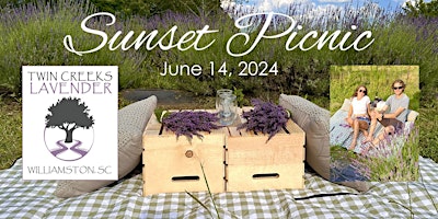 Hauptbild für Twin Creeks Lavender Sunset Picnic 2024