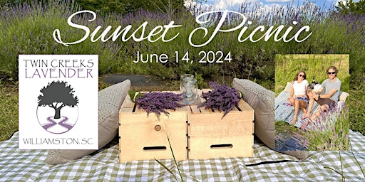 Imagem principal do evento Twin Creeks Lavender Sunset Picnic 2024