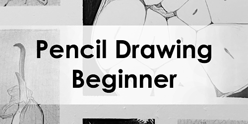 Imagem principal de Pencil Drawing for Adults | Beginner
