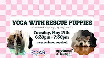 Imagem principal do evento Yoga with Rescue Puppies