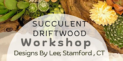 Succulent Driftwood Workshop primary image