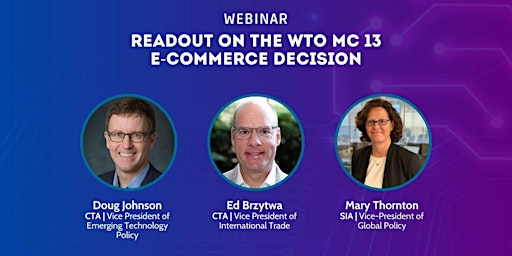 Primaire afbeelding van WITSA Webinar: A Readout on the WTO MC13 E-Commerce Decision