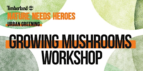 Growing Mushrooms Workshop
