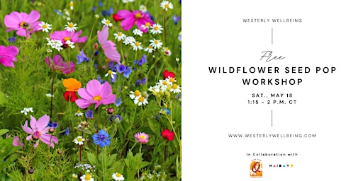 FREE Drop-In Wildflower Seed Pop Workshop primary image