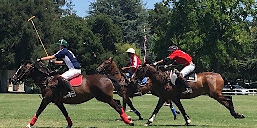 Primaire afbeelding van RIDES FOR VETS  Charity Polo Tournament