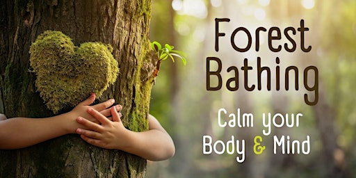 Hauptbild für Forest Bathing