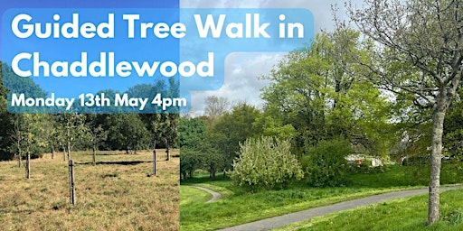 Guided Tree Walk in Chaddlwood primary image
