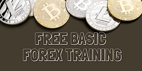 Learn The Basics To Begin Trading In The Forex Market