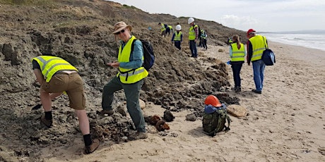 Barton on Sea, Hampshire - GEOLOGICAL AND FOSSIL FIELD TRIP primary image