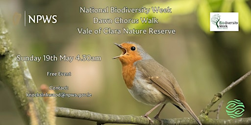 Imagem principal do evento Dawn Chorus Walk - Vale of Clara Nature Reserve