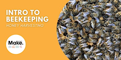 Imagem principal do evento Intro to Beekeeping: Honey Harvesting