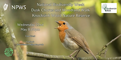 Dusk Chorus & Woodland Walk - Knocksink Wood primary image
