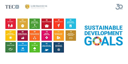 Immagine principale di 2030 SDGs Game: Shaping The Future Together 