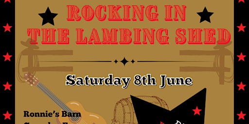 Rocking in the Lambing Shed primary image