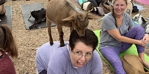 Imagem principal do evento Mothers Day Grady Goat Yoga