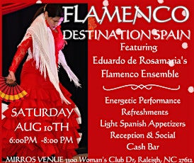 Flamenco Night - Destination Spain