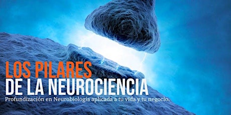 Imagen principal de Los Pilares de la Neurociencia 8 & 9 Nov-MAD