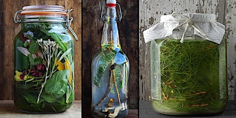 Foraging and making natural sodas using wild yeasts and local plants!