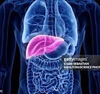 Image principale de Nutritional Management of Liver Disease: Practical approach
