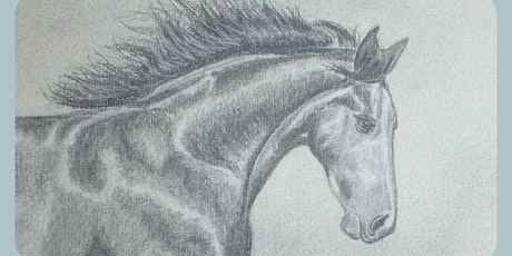 Afternoon Workshop – Drawing Horses for Beginners