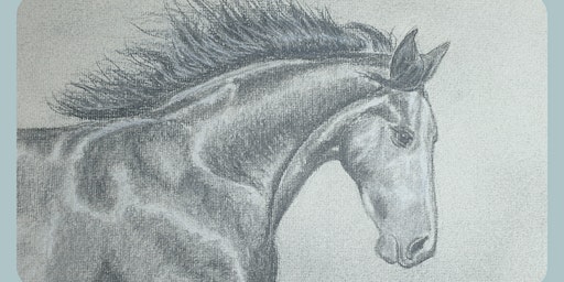 Primaire afbeelding van Afternoon Workshop – Drawing Horses for Beginners