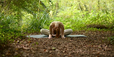 Imagem principal do evento Restorative Epping Forest Yoga: Yin Yoga, Yoga Nidra & EFT Tapping