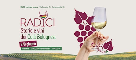 Image principale de Radici - Storie e vini dei Colli Bolognesi