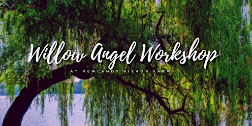 Willow Angel Workshop primary image