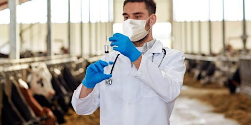 Health and Safety in Veterinary Services: Ensuring Animal Care Excellence primary image