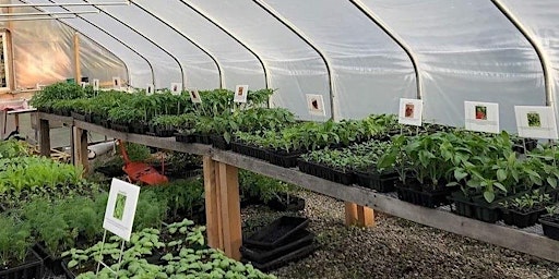 Imagem principal do evento Certified Organic Plant Sale
