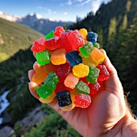 Immagine principale di Elevate CBD Gummies: Holistic Wellness in a Gummy Form 