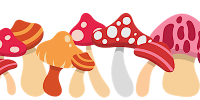 Fungi Forest  primärbild