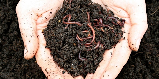 Speakers Bureau Series: Introduction to Vermicomposting for Gardeners primary image