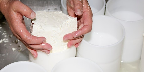 Cheese Making Mastery: Crafting Delicious Artisanal Cheeses