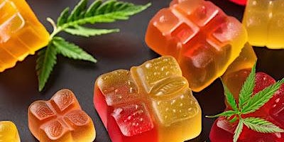 Elevate CBD Gummies: Nourish Your Body, Soothe Your Soul primary image
