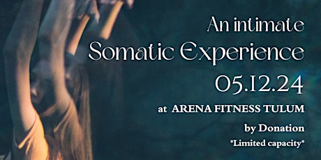 Somatic Experience Fundraiser