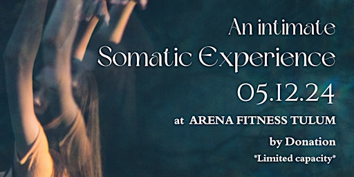 Imagem principal do evento Somatic Experience Fundraiser