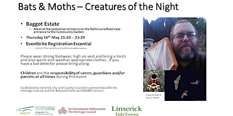 Bats and Moths - Creatures of the Night