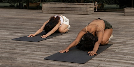 Taller Oficial de 20 horas de Yoga sensible al Trauma