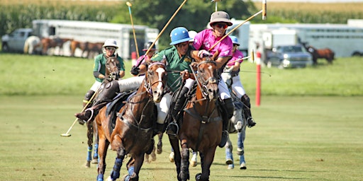 Opening Day - POLO! primary image