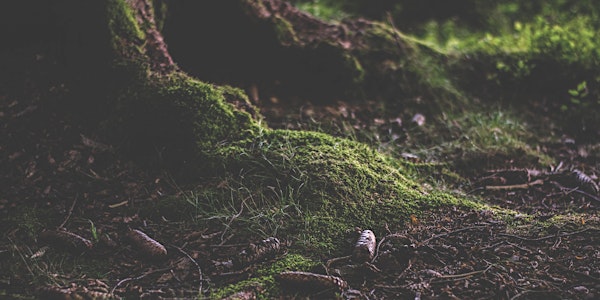 Genealogy Workshop - Connect to explore your Irish roots