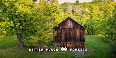 Better Place Forests Berkshires Memorial Forest Open House
