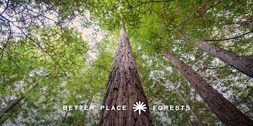 Hauptbild für Better Place Forests Santa Cruz Memorial Forest Open House