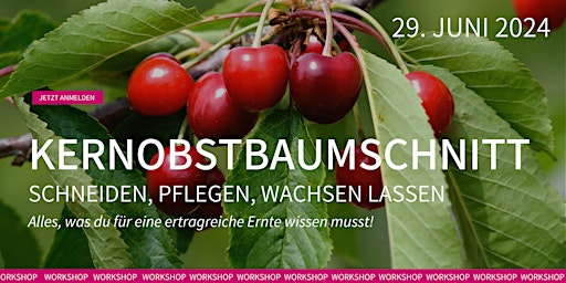 Imagem principal de Kernobstbaumschnitt – Schneiden, Pflegen, Wachsen lassen